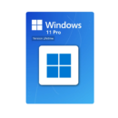 Microsoft Windows 11 Pro